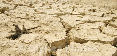 Secheresse / Dry