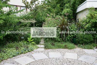 Jardin, Style sauvage, Maison, Dallage, Pierre reconstituée, Bradstone, Concassé béton, Massif, Nicotiana sylvestris, Saccharum officinarum Purpureum (canne à sucre pourpre), Purple sugarcane, Lavatera olbia, Impatiens glandulifera, Lamium, Carex, Cornus,