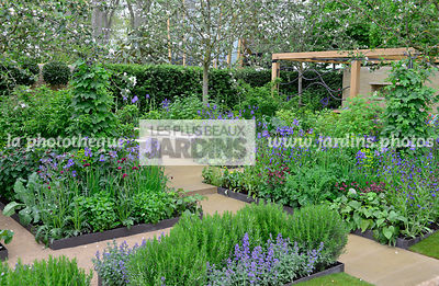 Petit potager en carré, urbain, Style champêtre contemporain : Rosmarinus officinalis, Nepeta faassenii 'Blauknirps', Iris sibirica 'Tropic Night'. Paysagiste : Adam Frost, CFS, Angleterre