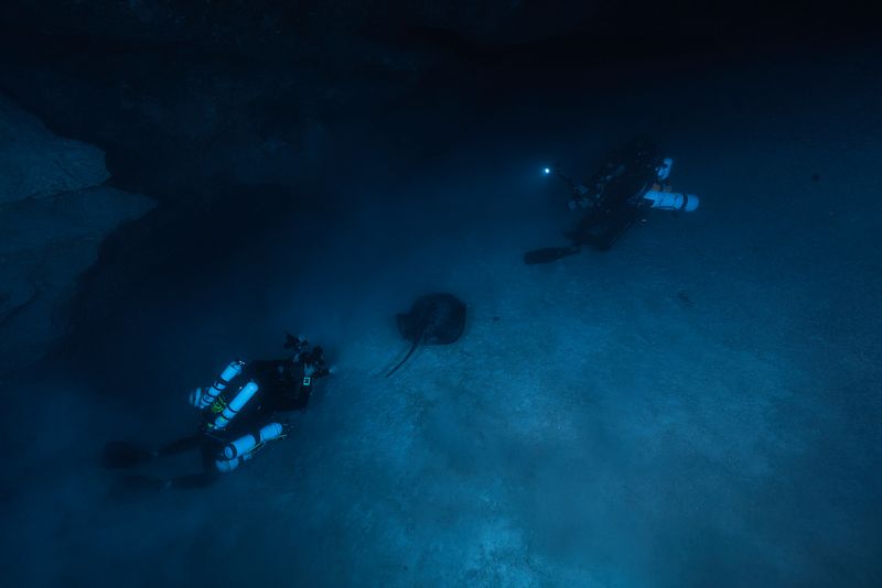 Underwater cave with a ray