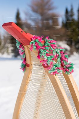 Snowshoes