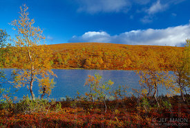 Lac et forêt dans des couleurs chaudes d´automne sous un ciel bleu intense