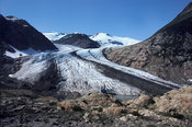 Salmon Glacier