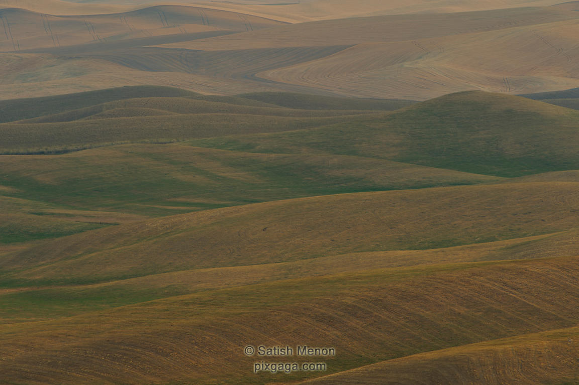Wheat Fields, Palouse Region, Washington, USA