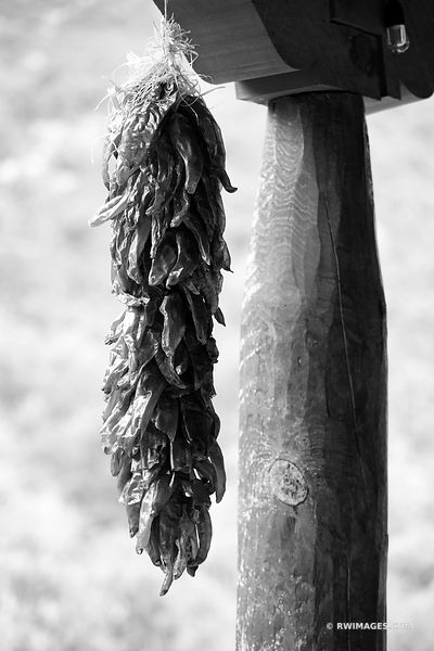 CHILE PEPPERS RISTRA HANGING NORTHERN NEW MEXICO BLACK AND WHITE VERTICAL