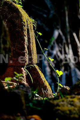 KOH KER, CAMBODGE//KOH KER, CAMBODIA