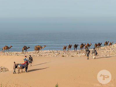 Le Surf au Maroc