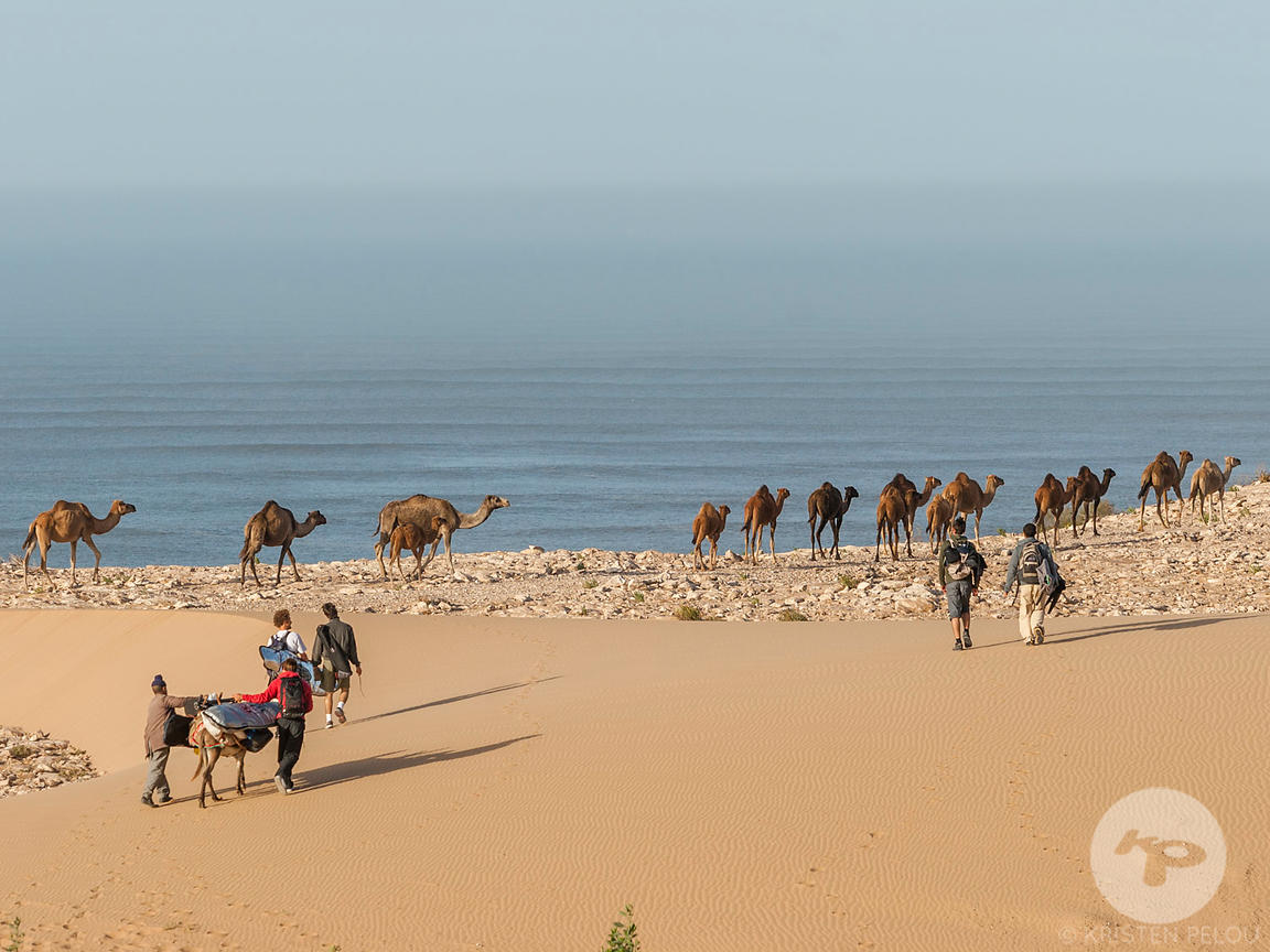 Le Surf au Maroc