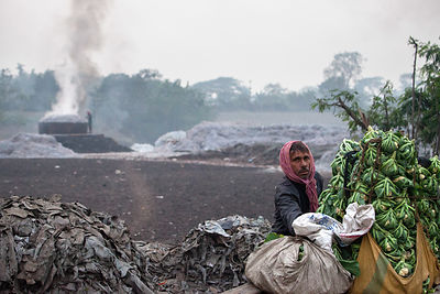 A man loads cauliflower onto a cart near Bantala in the East Kolkata Wetlands, Kolkata, India. In the background is an incinerator burning scrap leather. In the front are piles of scrap leather.