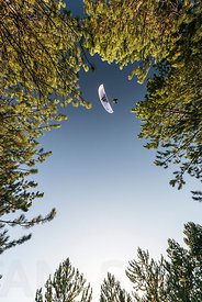 Above the trees with JB Chandelier