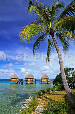 FRANCE, POLYNESIE FRANCAISE, TUAMOTU//FRANCE, FRENCH POLYNESIA, TUAMOTU