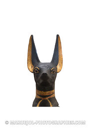 Le dieu Anubis