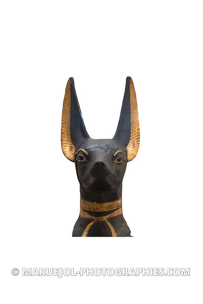 Le dieu Anubis