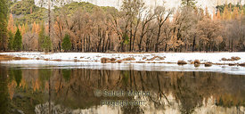 Trees and Reflection, Yosemite National Park, CA, USA