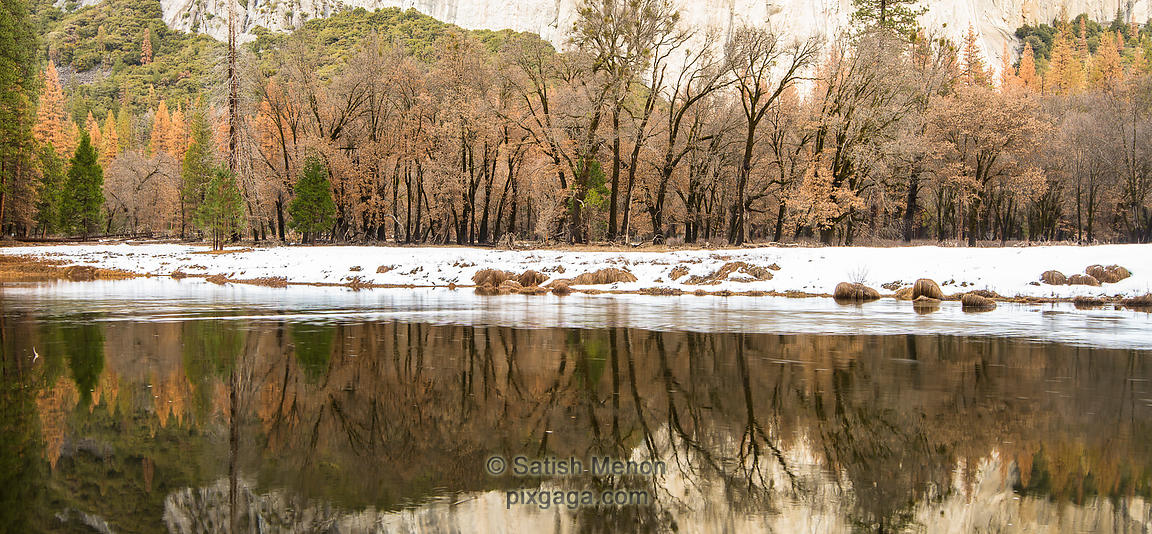 Trees and Reflection, Yosemite National Park, CA, USA