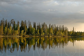 Beautiful lake and forest