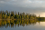Beautiful lake and forest