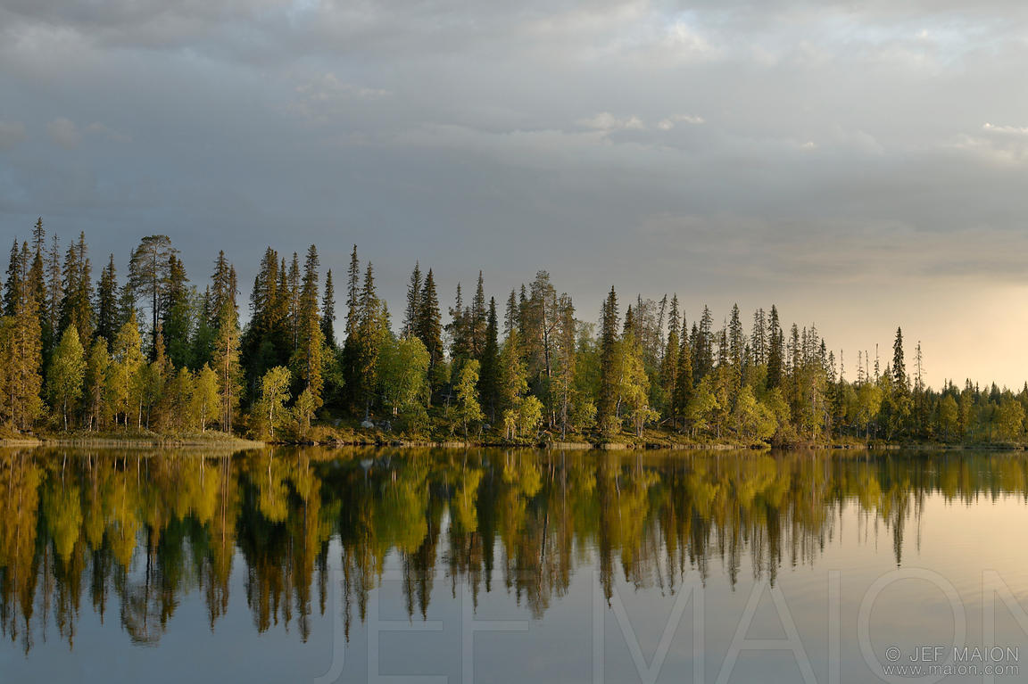 Beautiful lake and forest