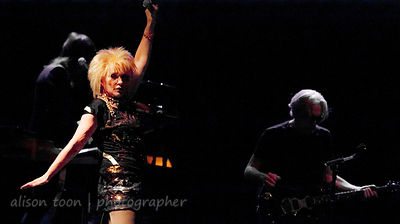 Blondie, Sunrise At Night, Citrus Heights, California, 2012