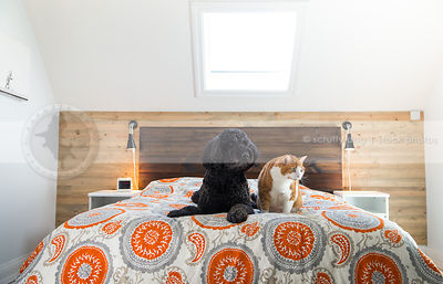badger_pumpkin_douglas-104