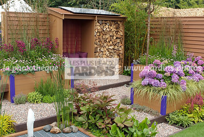 Abri de jardin dans un jardinet urbain. Jardinière en plastique recyclé. Geranium sanguineum, Hydrangea macrophylla 'Teller Blue', Rodgersia spp. Paysagiste : Tim Fowler, TPFS, Angleterre