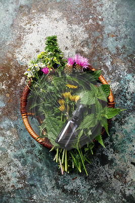 Meadow and Medicinal herbs and herbal tincture for clean eating biohackers paleo diet