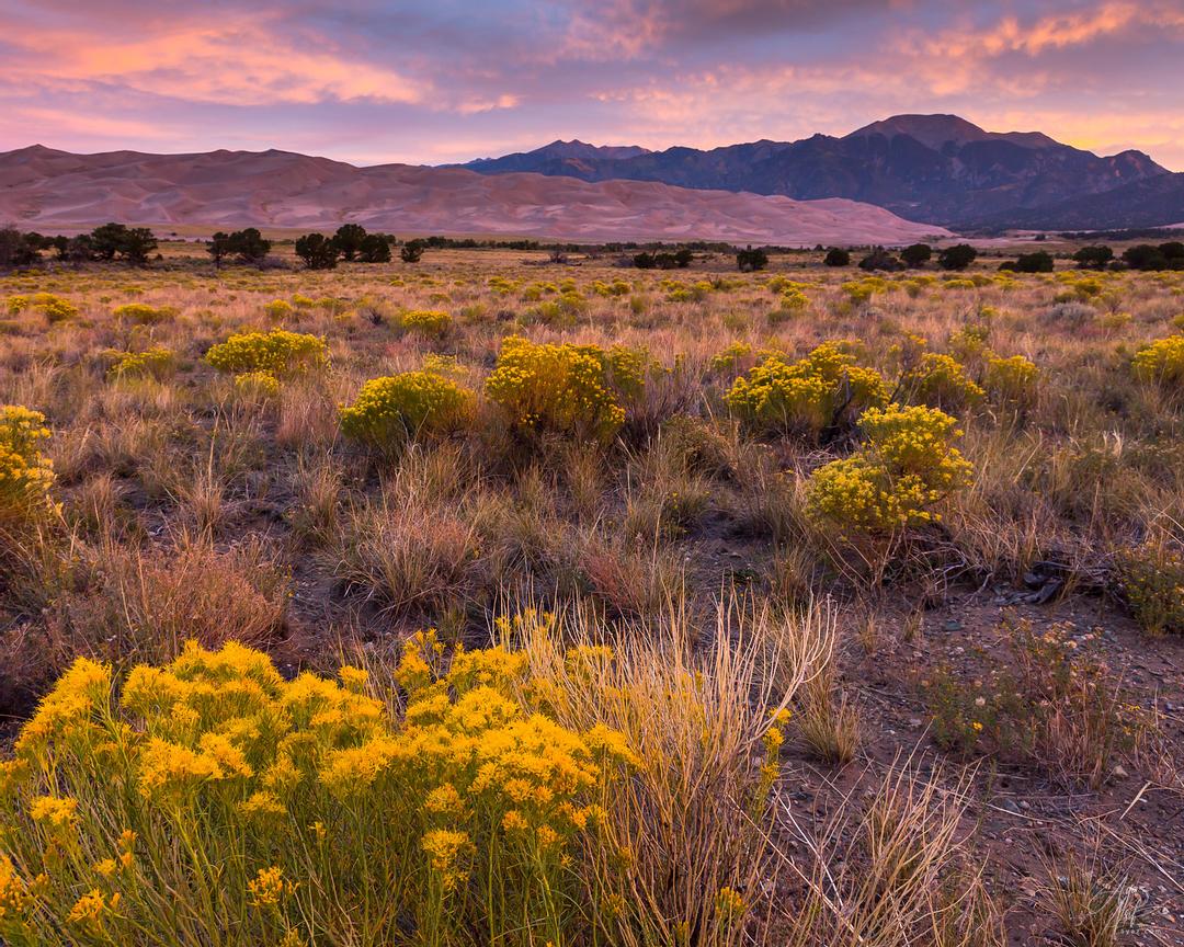 20160920-00259581-_K5C8252