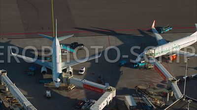 Transavia Boeing 737 vliegtuigen aan de C pier, Luchthaven Schiphol