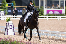 FEI Dressage Grand Prix Special