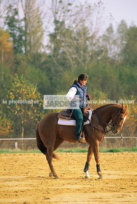 Cavalière sur un cheval Quater horse. Reprise de dressage. Monte américaine. Haras de la Cense. Yvelines. France