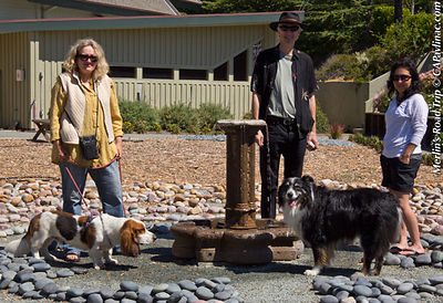 Dog Days of Summer Labyrinth Walk