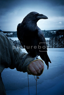 A historical fiction image of a mystery man holding a Raven.