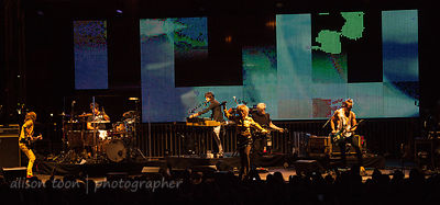 Blondie, Sunrise At Night, Citrus Heights, California, 2012
