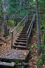 Rustic Staircase on Trail at Roderick Haig-Brown Provincial Park