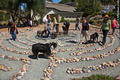 Dog Days of Summer Labyrinth Walk
