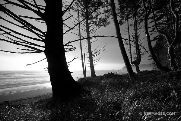 RIALTO BEACH OLYMPIC NATIONAL PARK WASHINGTON BLACK AND WHITE