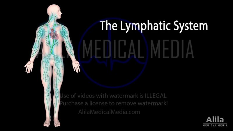 Alila Medical Media | Latest work