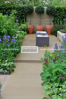 Petit jardin, urbain, contemporain : Chou frisé, potée avec Laurus nobilis (laurier-sauce sur tige), Barbecue. Paysagiste : Adam Frost, CFS, Angleterre