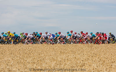 The Peloton - Tour de France 2017
