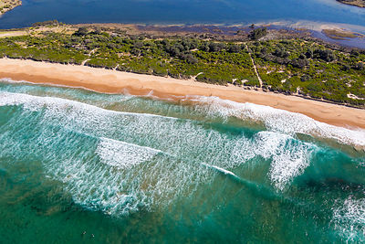 Dee Why Surf