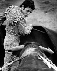 Bull fighter, Spain