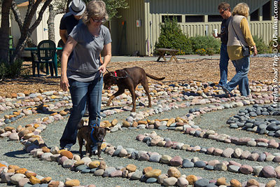 Dog Days of Summer Labyrinth Walk