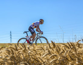 Andre Greipel Riding in the Plain - Tour de France 2016