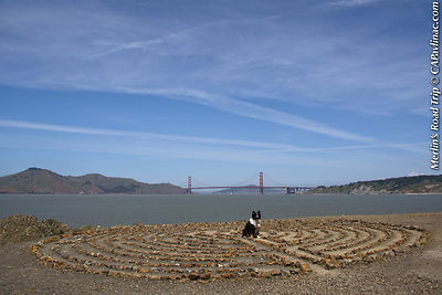 Merlin in Lands End Labyrinth, San Francisco