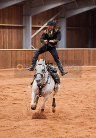 Rockin' Horse Stunt Riders