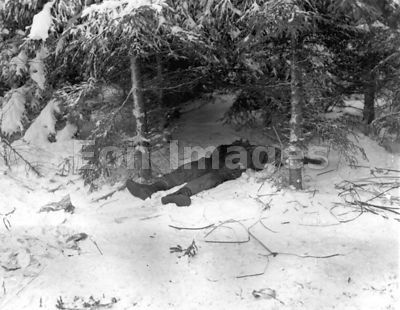 American casualty in snow near Bastogne