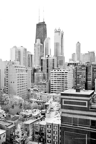 CHICAGO DOWNTOWN BLACK AND WHITE VERTICAL