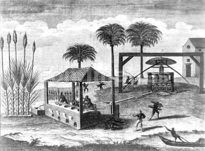 18th-century print of sugar-cane processing