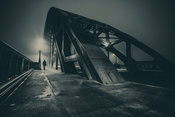 Foggy Morning