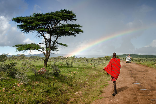 Safari in Massai Mara Kenya